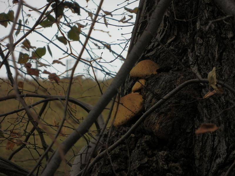 Bilder_03.11.12 009.jpg