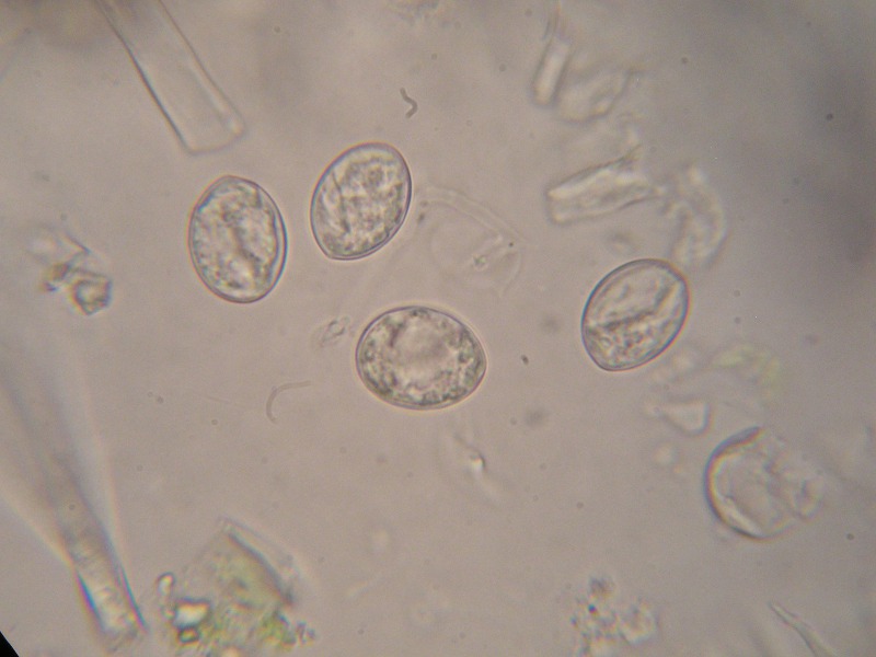 1000er Eckern (16).JPG