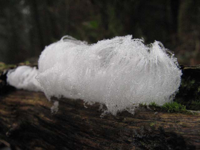 2008122503.jpg