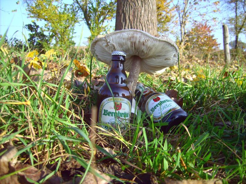Pilz und Pils b.jpg