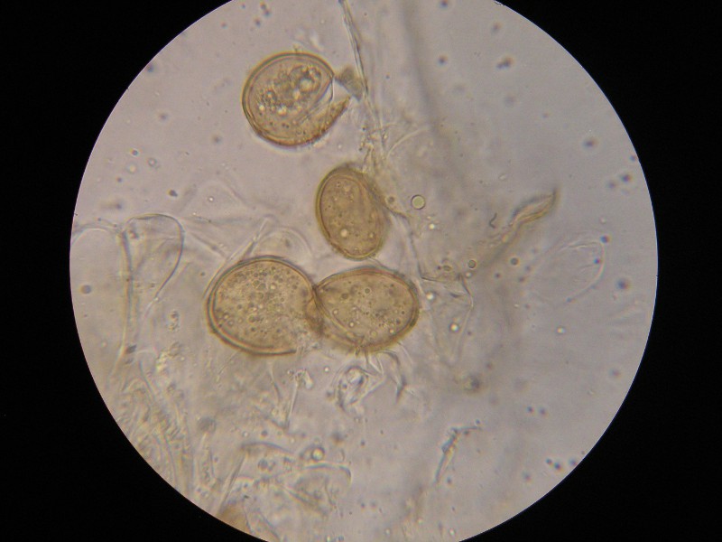 1000er Sankt (1).JPG