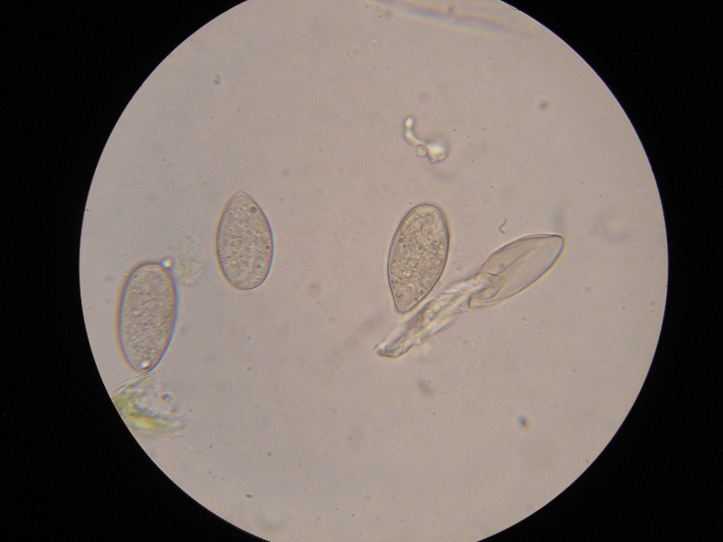 1000er Graup (12).JPG