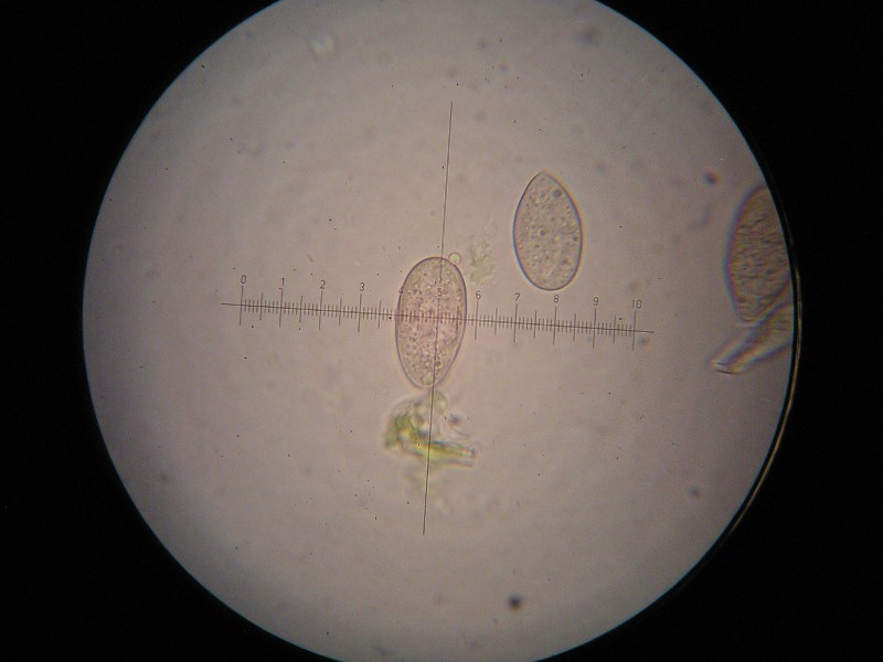 1000er Graup (15).JPG