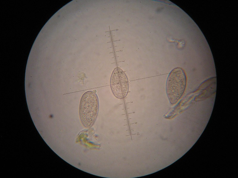 1000er Graup (19).JPG