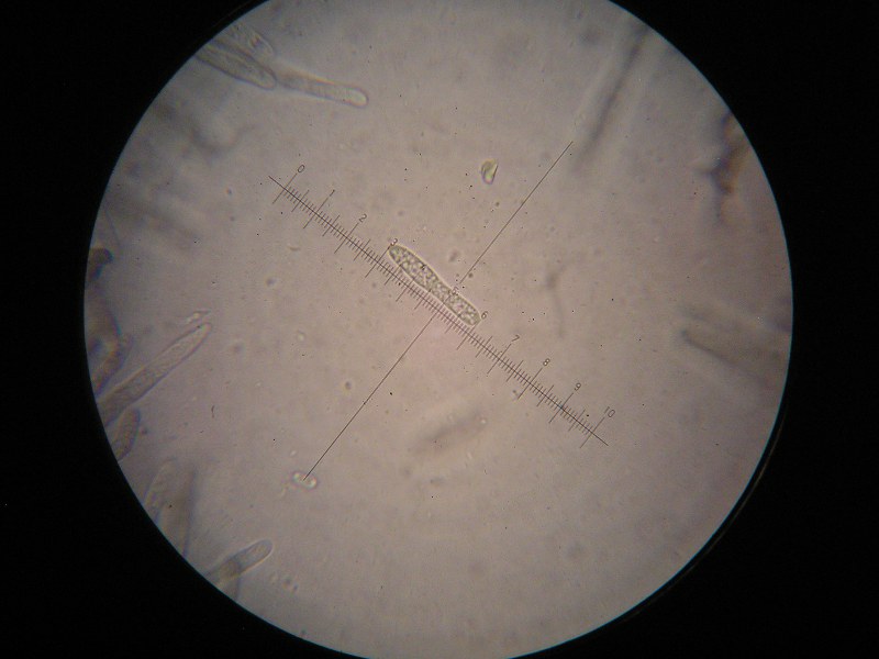 1000er Aschau (12).JPG