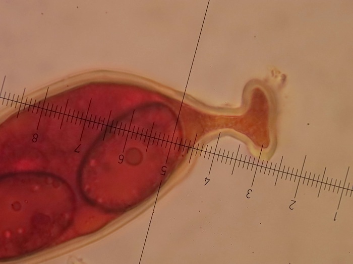 IMG_1461 mit IKI.JPG