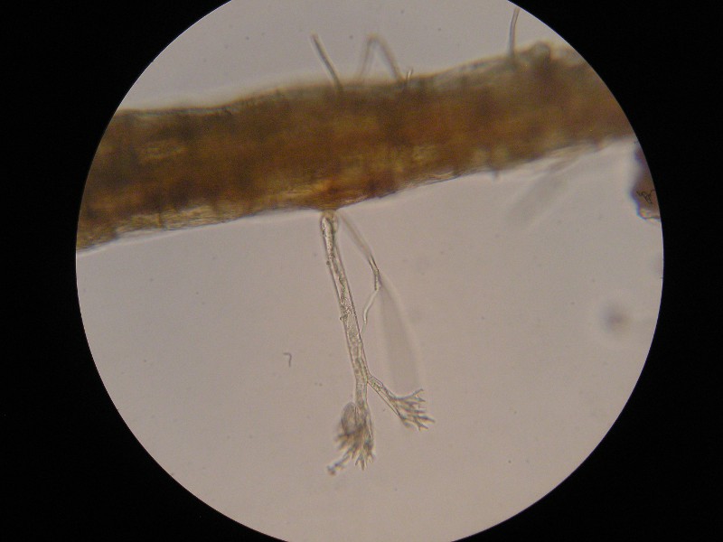 400er Scheiden (1).JPG