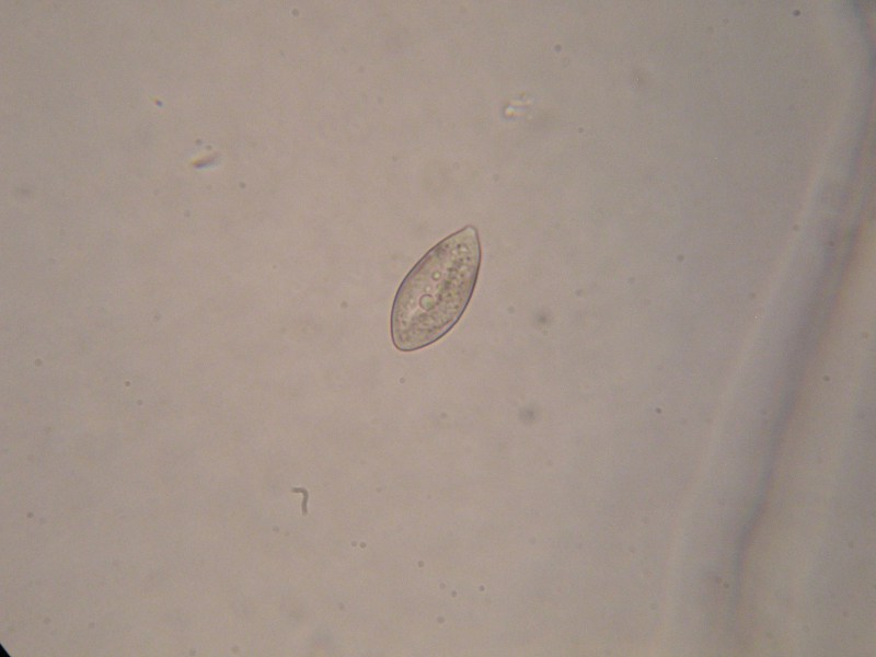 1000er Scheiden (17).JPG