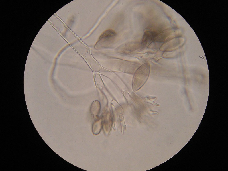 1000er Scheiden (29).JPG