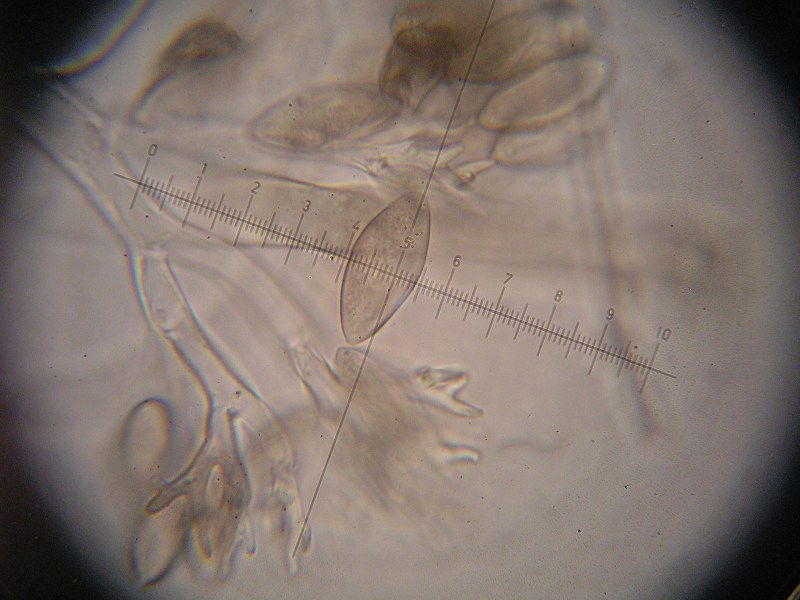 1000er Scheiden (34).JPG