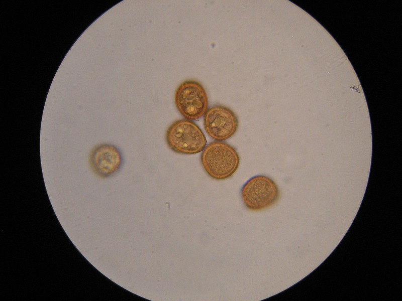 1000er Scheiden (12).JPG