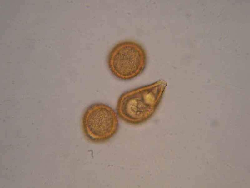 1000er Scheiden (22).JPG