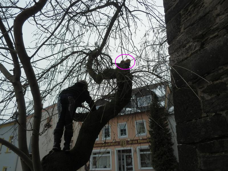 Standort in luftiger Höhe.JPG