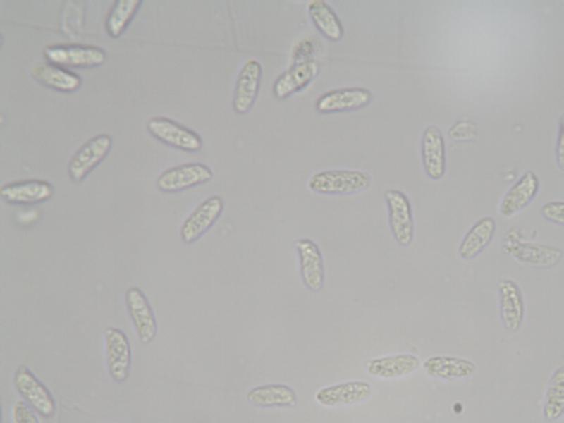 IMG1_372.JPG