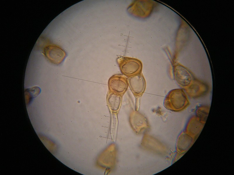 1000er Scheiden (13).JPG