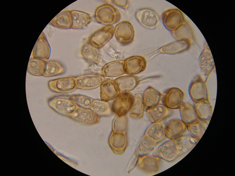 1000er Scheiden (17).JPG