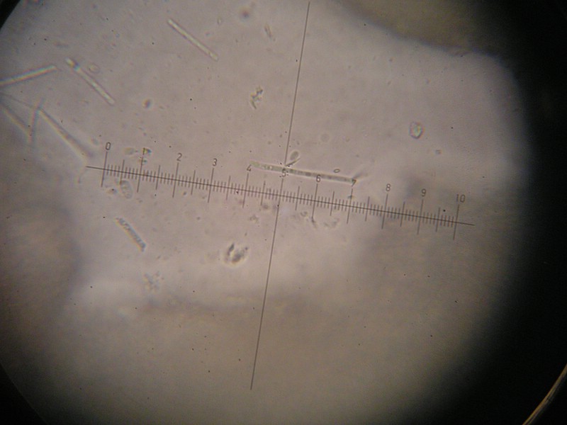 1000er Scheiden (7).jpg