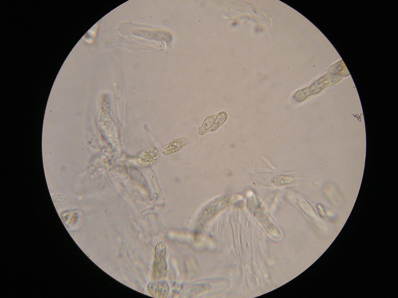 1000er Werschweiler (12).jpg