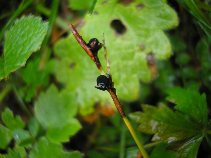 Berchtesgaden (3).JPG