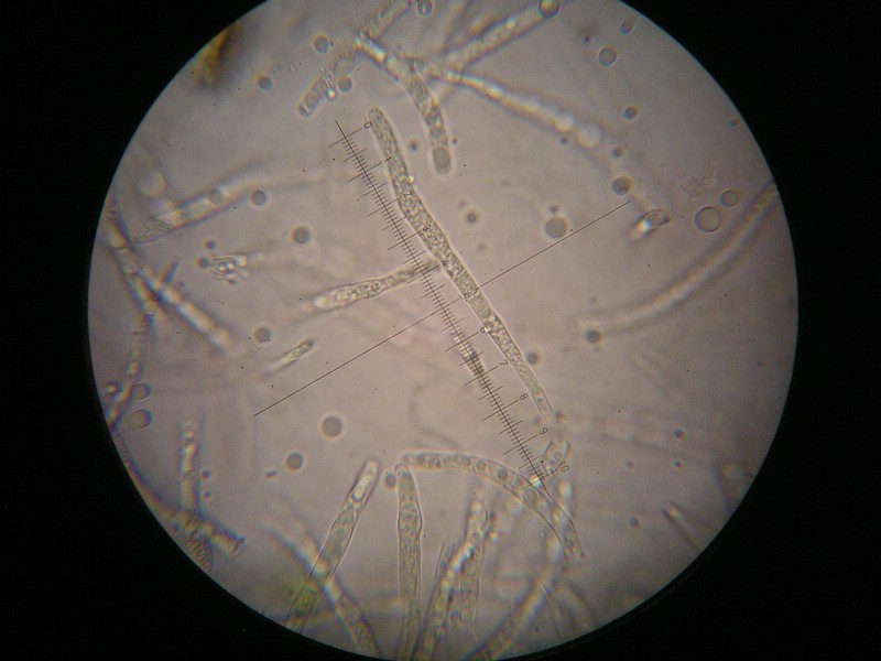 1000er Scheiden (13).jpg