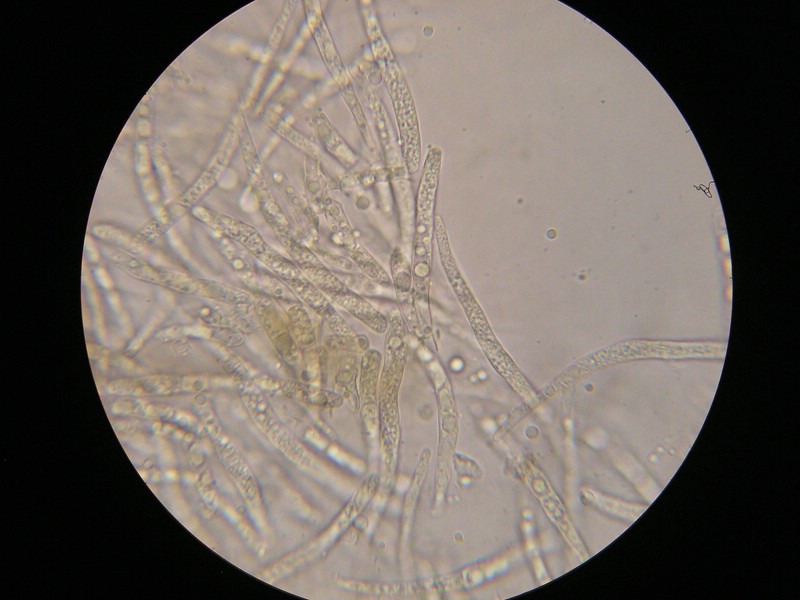 1000er Scheiden (17).jpg