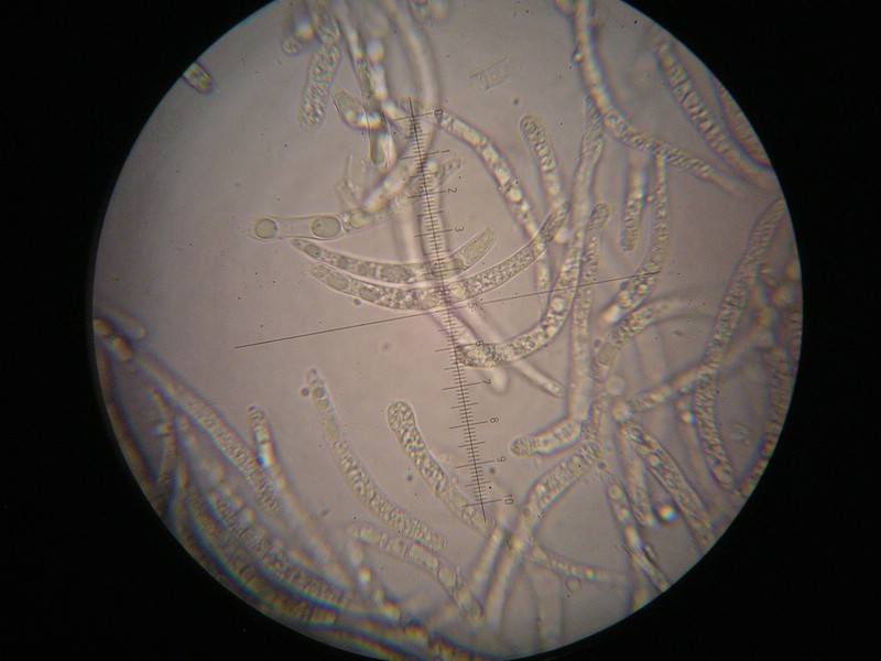 1000er Scheiden (26).jpg