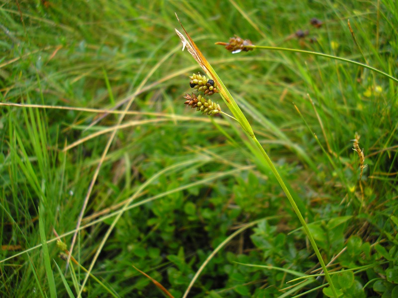 Berchtesgaden (4).JPG