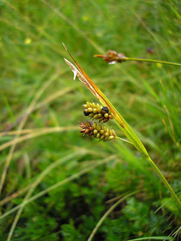 Berchtesgaden (5).JPG