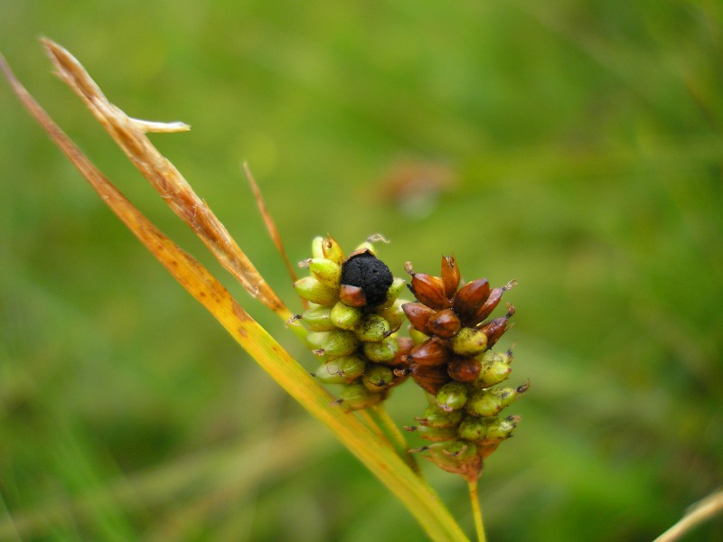 Berchtesgaden (7).JPG