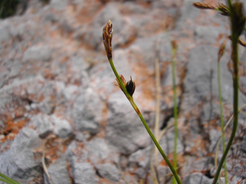 Hundstodgruben (3).JPG