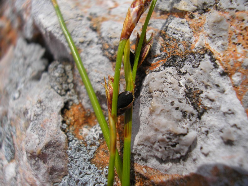 Hundstodgruben (8).JPG