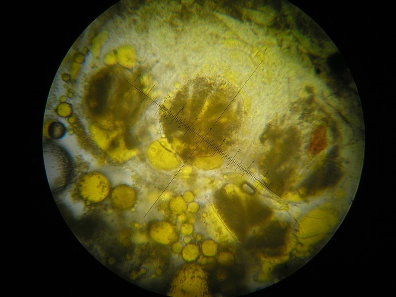 400er SalzburgerKreuz (1).jpg