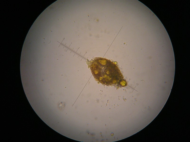 400er SalzburgerKreuz (6).jpg