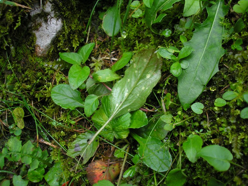 Berchtesgaden (1).jpg