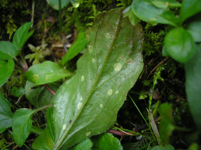 Berchtesgaden (4).jpg