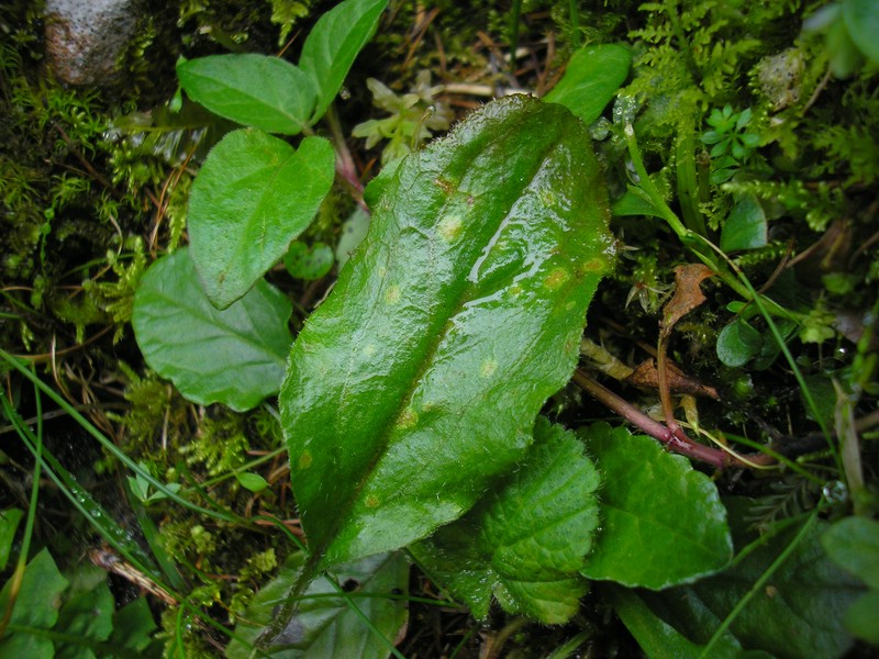 Berchtesgaden (6).jpg