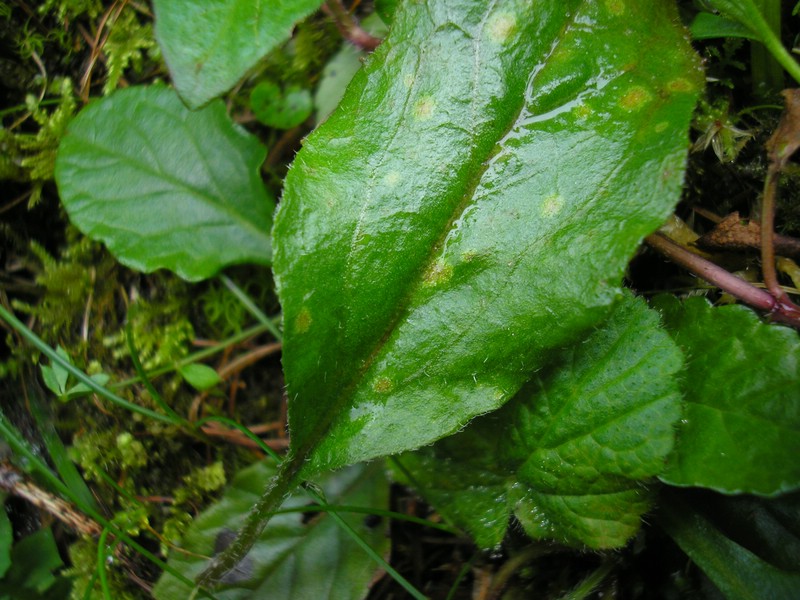 Berchtesgaden (7).jpg