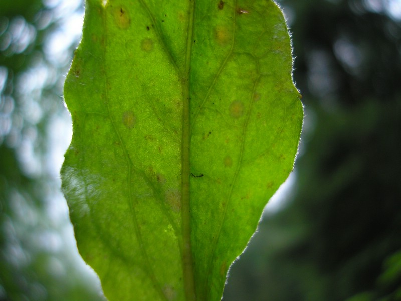 Berchtesgaden (9).jpg