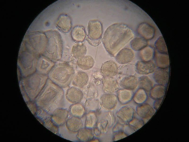 1000er Einöds (12).jpg