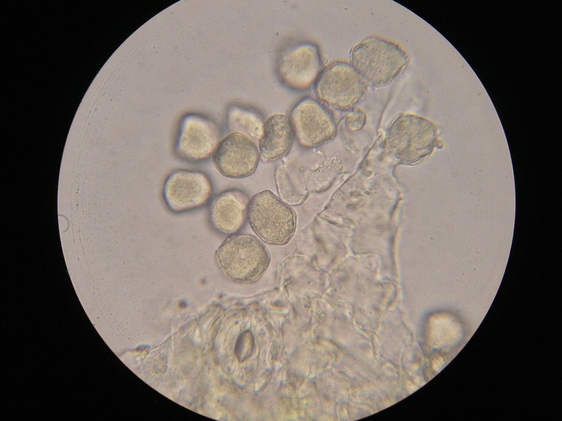 1000er Einöds (17).jpg