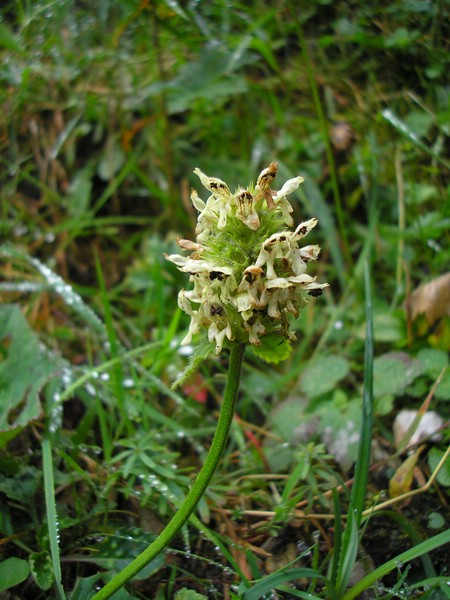 Berchtesgaden (26).jpg