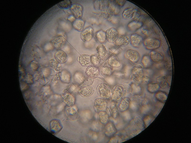 1000er Einöds I (9).jpg