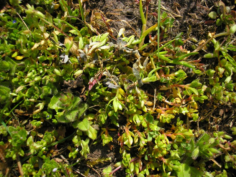 Lynestraße (16).jpg