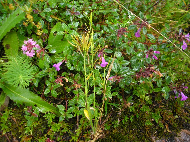 Berchtesgaden (1).jpg