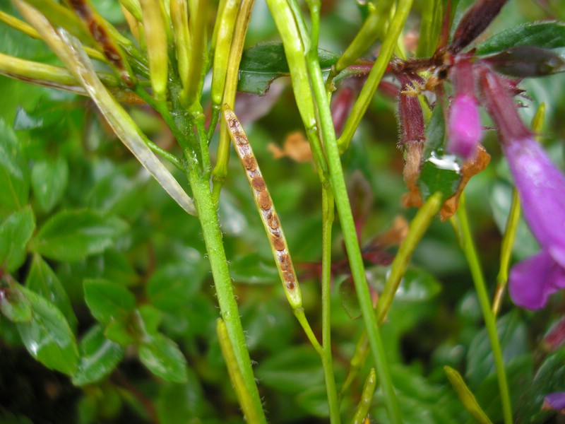 Berchtesgaden (3).jpg