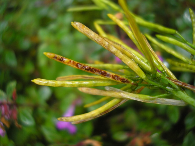Berchtesgaden (6).jpg