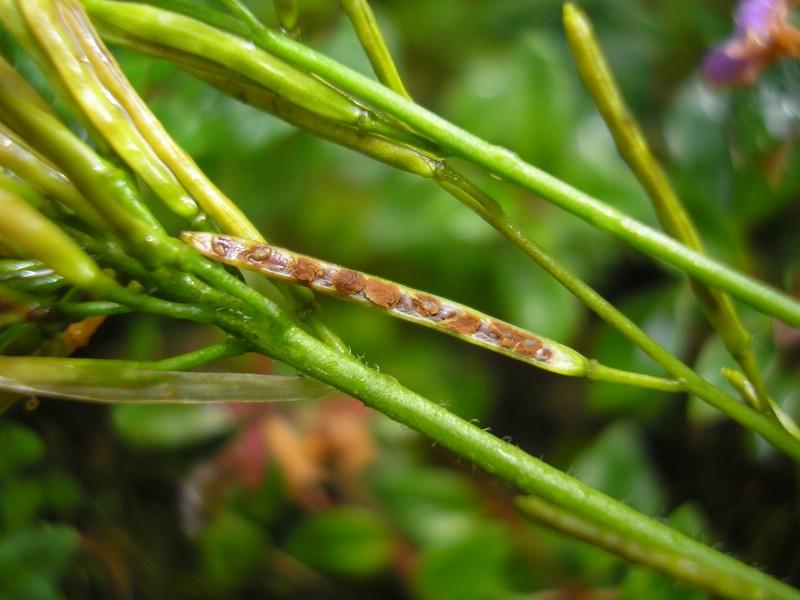 Berchtesgaden (9).jpg
