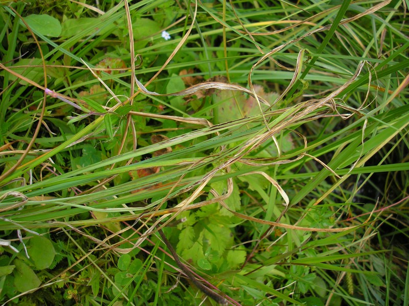 Berchtesgaden (13).jpg