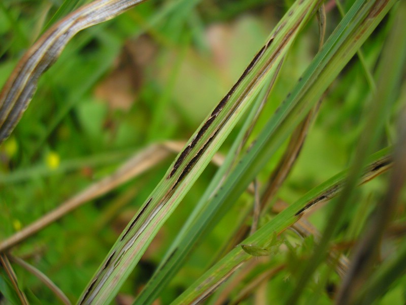 Berchtesgaden (10).jpg