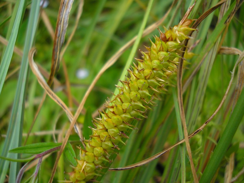 Berchtesgaden (6).jpg